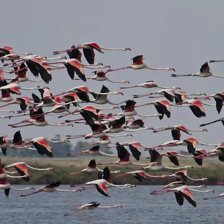 Ferienhaus direkt am Meer mit Wallbox für Elektroautos Ferienhaus *
