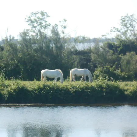 Ferienhaus Ferienhaus direkt am Meer mit Wallbox für Elektroautos