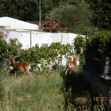 Fewo-Am-Adriastrand Punkt Eu Via Spiaggia 27 Lido Di Volano